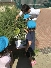 園での生活の様