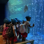 遠足　ビーチランド1